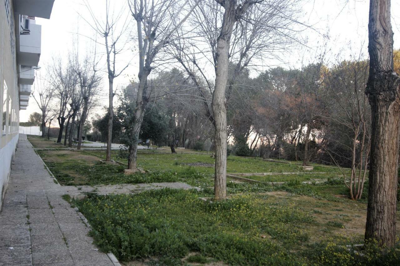 Bonito Apart. Con Parking Y Piscina 梅里那德奥拉菲 外观 照片